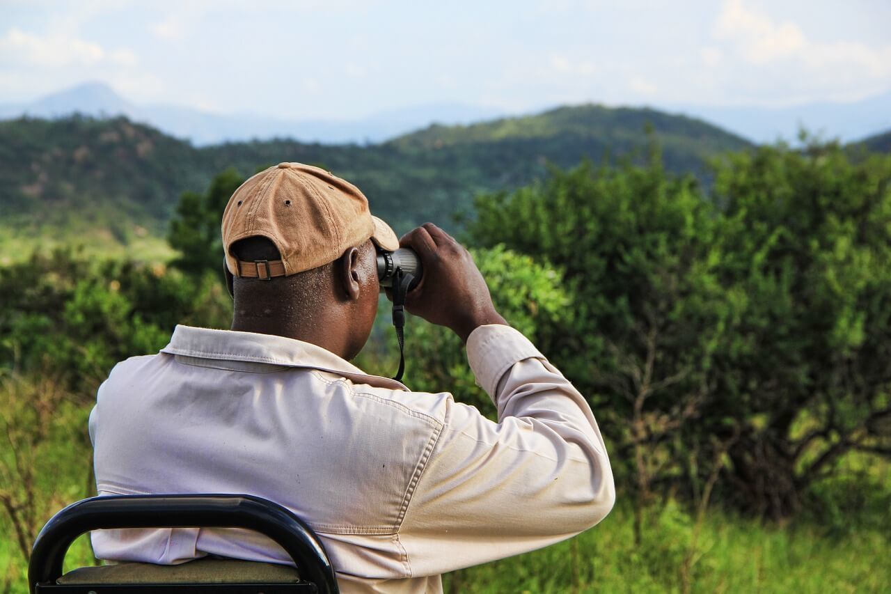 best binoculars for safari